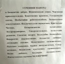 Аришка Филя фотография #23 (источник - https://vk.com/id304602)