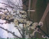 Маріанна Ковач фотография #8 (источник - https://vk.com/id44648385)