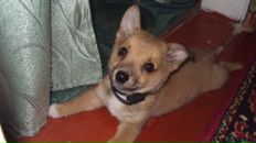 Вікуся Кондратенко фотография #9 (источник - https://vk.com/id97833529)