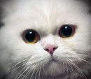 Дроботій Володимирівна фотография #1