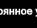 Светлана Ледяева фотография #38 (источник - https://vk.com/id132106091)