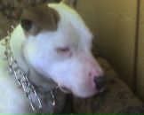 Сергій Палагнюк фотография #19 (источник - https://vk.com/id98594000)