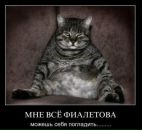 Фотография Корулина Сергея