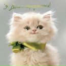 Іра Черник фотография #39 (источник - https://vk.com/id152310798)