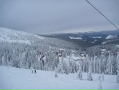 Міша Петришин фотография #28 (источник - https://vk.com/id19066967)