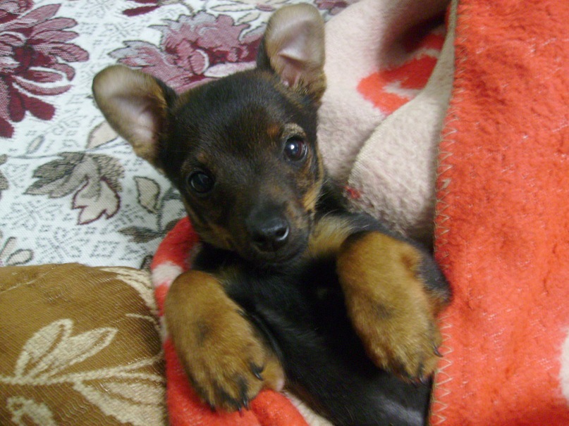 Натали Чепур фотография #40