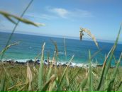 Олечка Піхлик фотография #28 (источник - https://vk.com/id17778579)