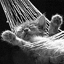 Юрій Романко фотография #29 (источник - https://vk.com/id71376054)