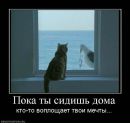 Imperiya Ruscams фотография #15 (источник - https://vk.com/id151038778)
