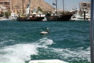 Джейн Эйр фотография #45 (источник - https://vk.com/id440454)