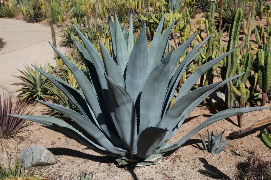 Джейн Эйр фото №18