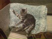 Фотография Васильевой Екатерины