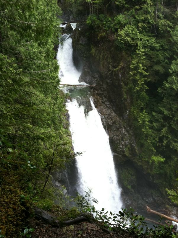 Федор Гончар фотография #26