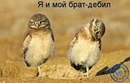 Юлічка Броварска фотография #7 (источник - https://vk.com/id138405391)