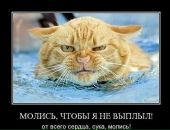 Фотография Поляковой Марины