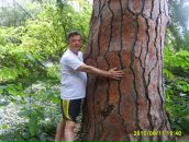 Фотография Печкурова Юрия