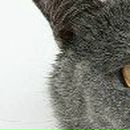 Оля Бондарчук--Варшавець фотография #37 (источник - https://vk.com/id52409522)