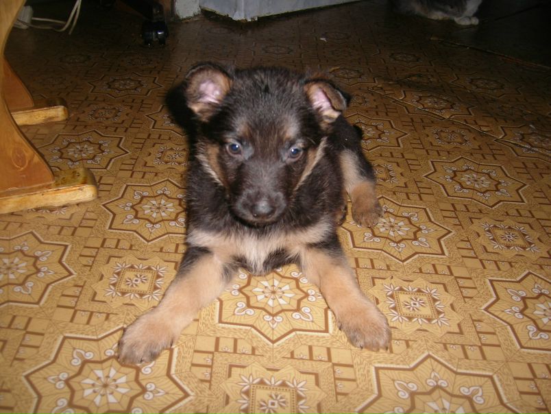 №12, Асария Бушмакова, Москва, Россия №12, Асария Бушмакова, Москва, Россия