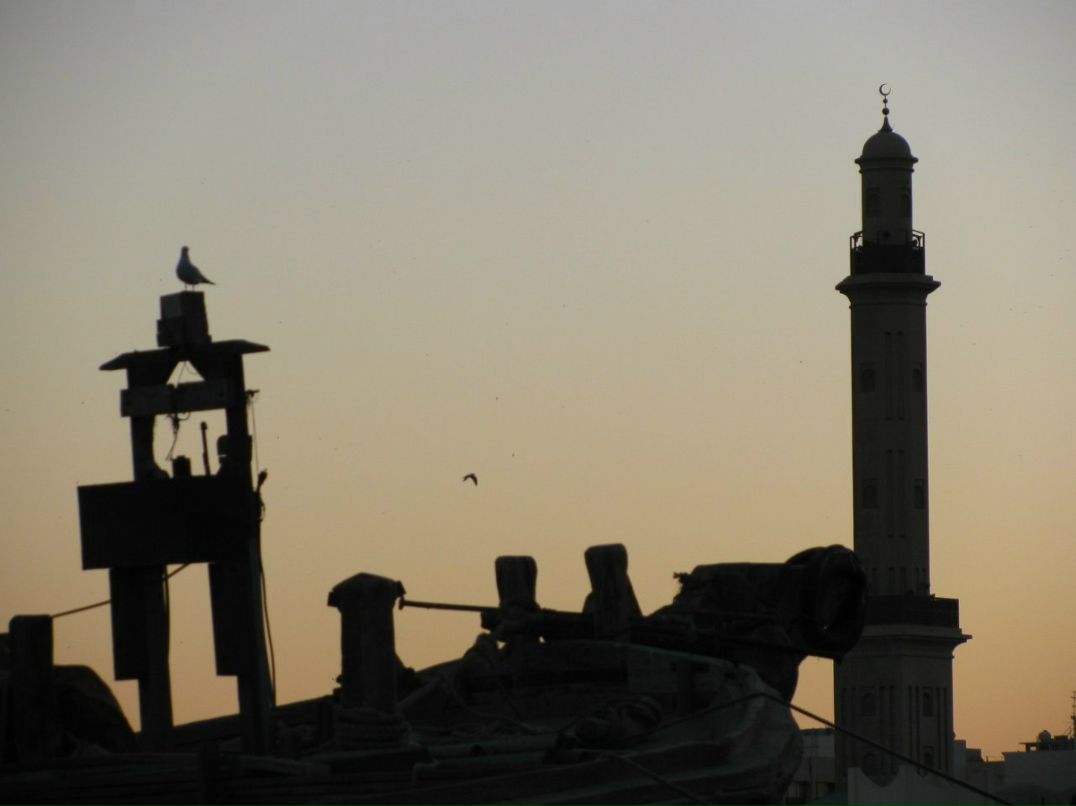 Дмитрий Лаптев фотография #38