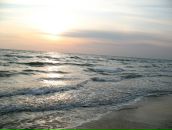 Фотография Симоновой Ирины