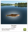 Андрій Стеців фотография #49 (источник - https://vk.com/id164789428)