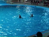 Murat Uzun фотография #24 (источник - https://vk.com/id1846906)