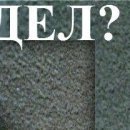 Віталій Каракай фотография #9 (источник - https://vk.com/id113544067)