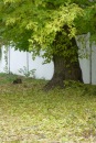 Фотография Бакшеевой Ирины