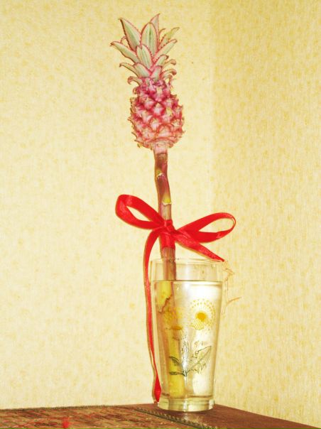 Таха Блажевич фото №3