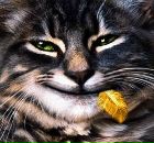 Фотография Ольги Ольги