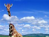 Фотография Семёновой Натальи