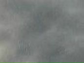 Аллонька Івасенко фотография #32 (источник - https://vk.com/id68269377)