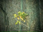 Андрій Радіонов фотография #30 (источник - https://vk.com/id116135556)
