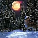 Сєрий Ольховський фотография #18 (источник - https://vk.com/id102905228)