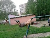 Професійний Трейсер фотография #2 (источник - https://vk.com/id100246398)