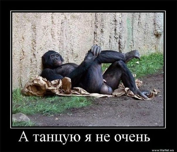 №4, Вадим Кочетков, Новосибирск №4, Вадим Кочетков, Новосибирск