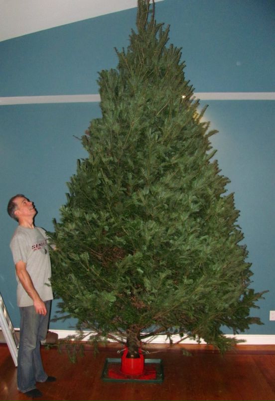 Tim Murphy фотография #35