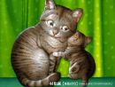 Фотография Кондратьевой Марины