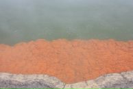 Александр Онищенко фотография #16 (источник - https://vk.com/id1753660)