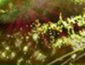 Діма Мельник фотография #12 (источник - https://vk.com/id90898785)