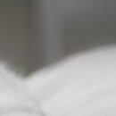 Наталія Олійник фотография #41 (источник - https://vk.com/id85387598)