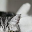 Наталія Олійник фотография #42 (источник - https://vk.com/id85387598)