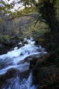 Роман Уваров фотография #31 (источник - https://vk.com/id21058381)