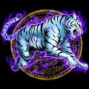 Ростік Примич фотография #42 (источник - https://vk.com/id101035477)