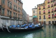 Віталія Вовк фотография #6 (источник - https://vk.com/id49848016)