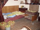 Едвард Шмід фотография #15 (источник - https://vk.com/id157401215)