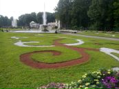Фотография Рогозина Дениса