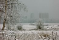 Антон Котов фотография #1