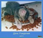 Ірина Шевченко фотография #42 (источник - https://vk.com/id17011710)