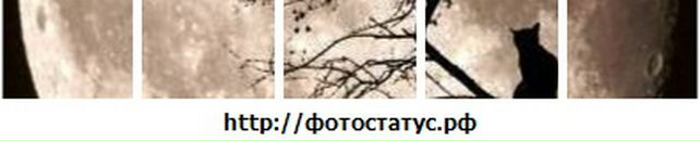 Іван Чізмар фотография #37 (источник - https://vk.com/id90329783)